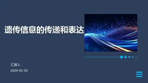 遗传信息的传递和表达