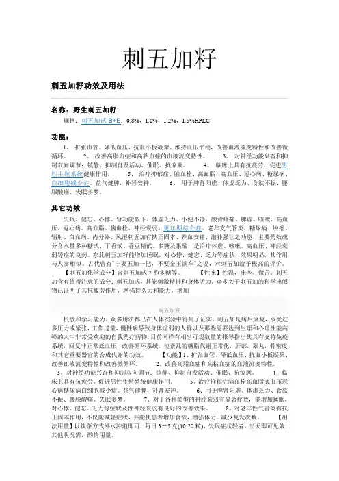 刺五加籽