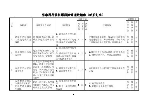 风险管理数据库样例(助航灯光)