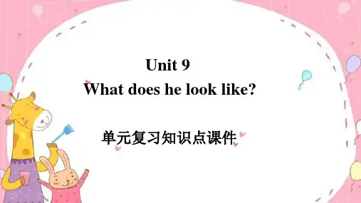 Unit 9 单元复习知识点课件 人教版英语七年级下册