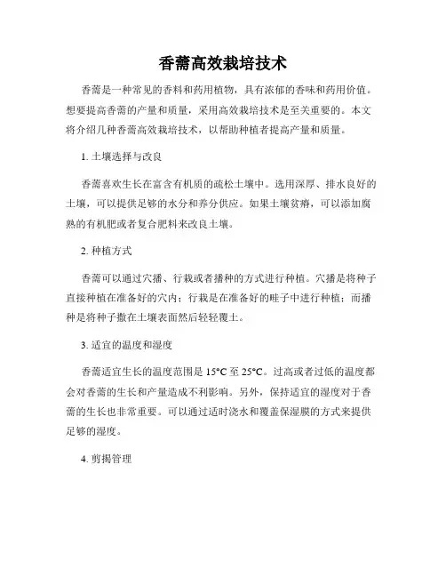 香薷高效栽培技术