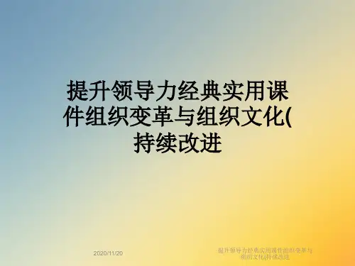 提升领导力经典实用课件组织变革与组织文化(持续改进