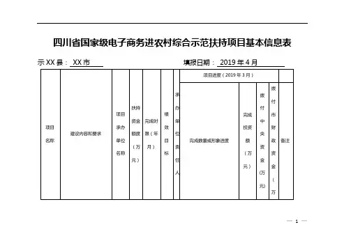 四川省国家级电子商务进农村综合示范扶持项目基本信息表【模板】