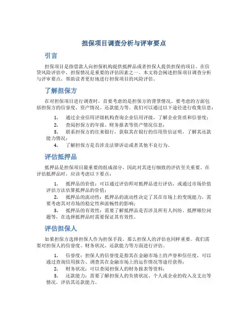 担保项目调查分析与评审要点