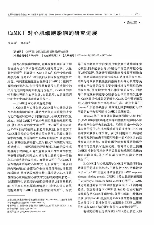 CaMKⅡ对心肌细胞影响的研究进展
