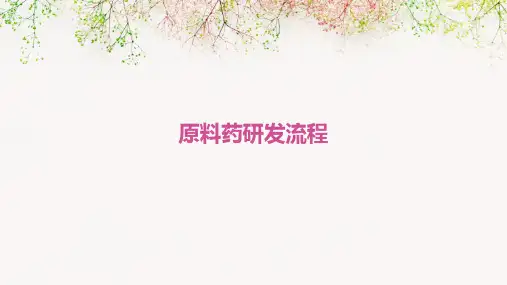 原料药研发流程PPT