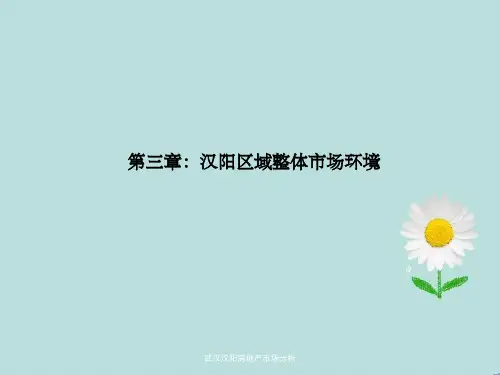 武汉汉阳房地产市场分析