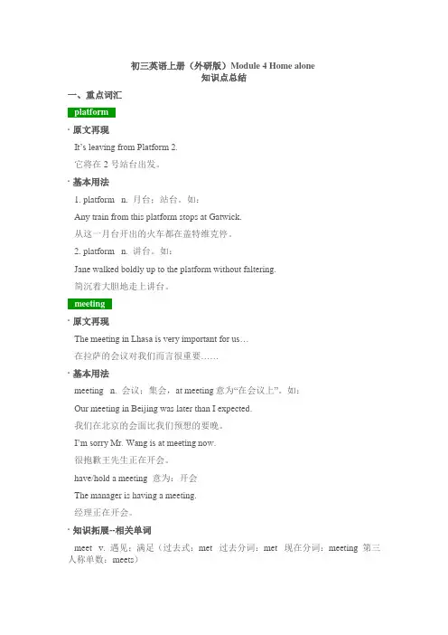外研版九年级上册英语Module 4 Home alone知识点总结