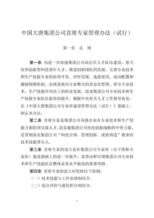 中国大唐集团公司首席专家管理办法(试行)