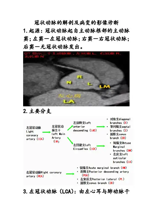 冠状动脉解剖及病变的影像学诊断