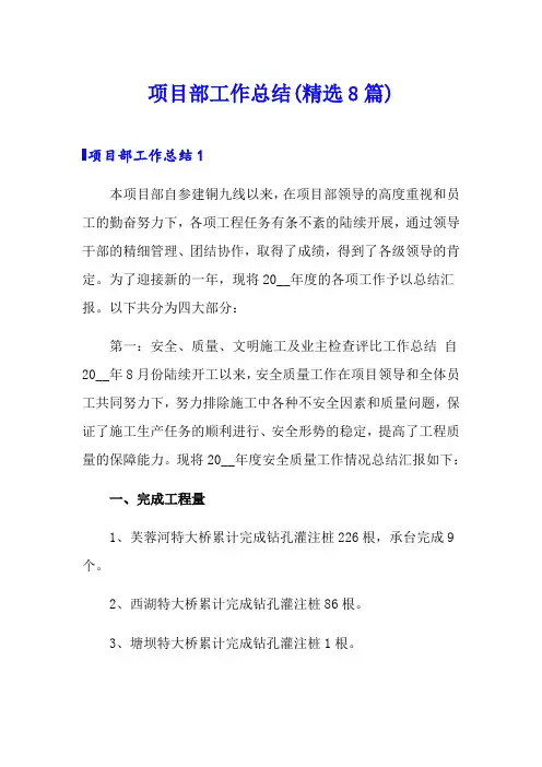 项目部工作总结(精选8篇)
