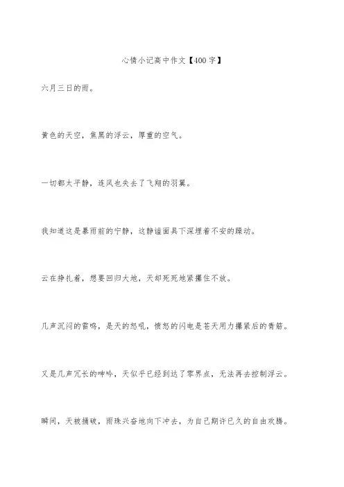 心情小记 高中作文【400字】