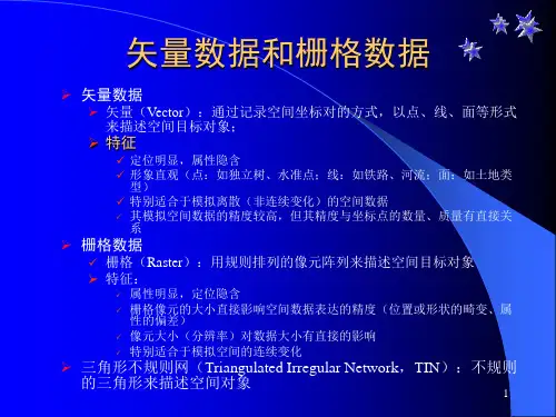 空间分析4空间分析的数据模型田永中
