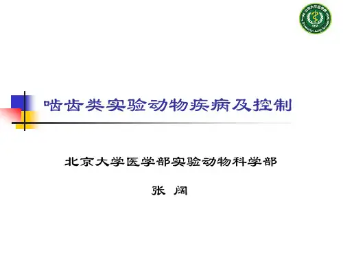 啮齿类实验动物疾病及控制(张阔)