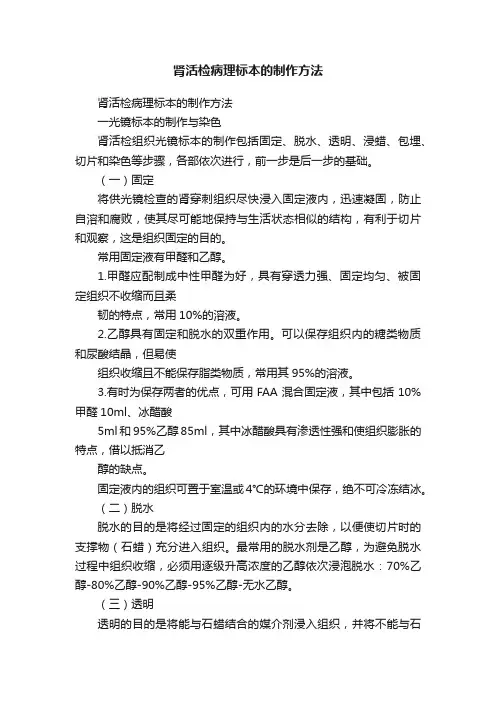 肾活检病理标本的制作方法