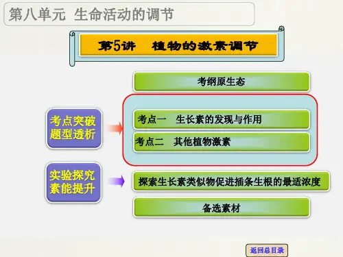 高考生物 一轮复习 第八单元 第5讲 植物的激素调节