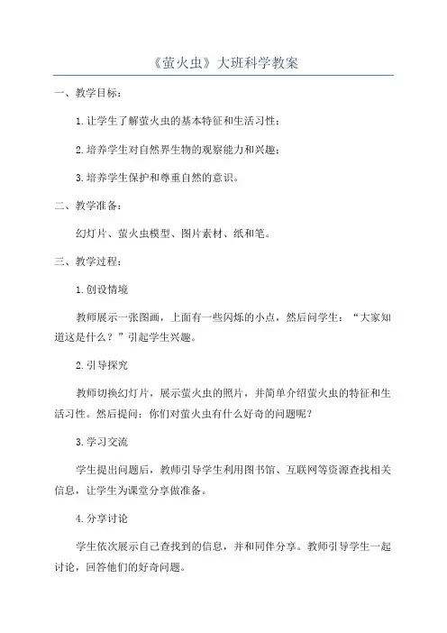 《萤火虫》大班科学教案