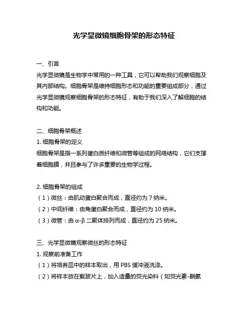 光学显微镜细胞骨架的形态特征