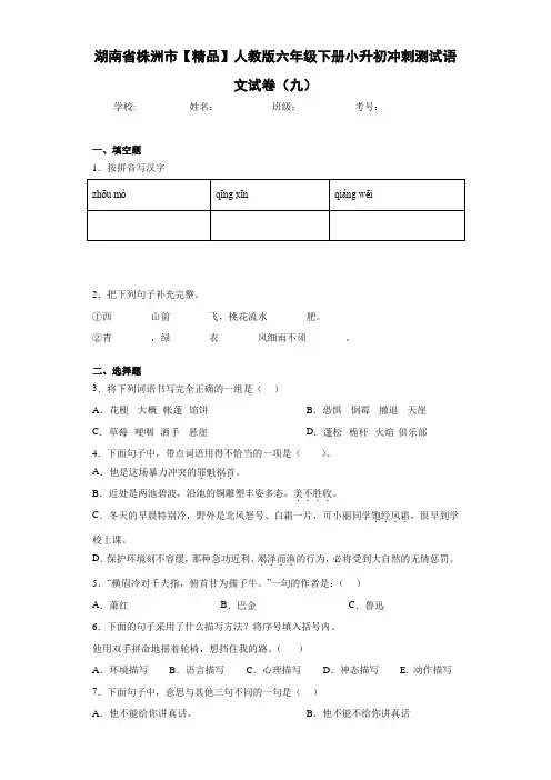 人教版六年级下册小升初冲刺测试语文试卷(九)(含答案解析)