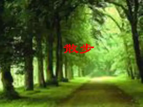 人教版部编教材七年级语文上册《散步》ppt课件(1)