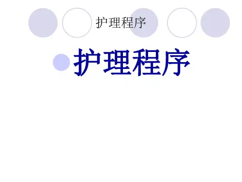 护理程序
