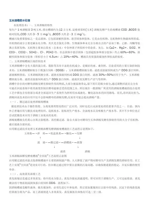 玉米废水  Doc1