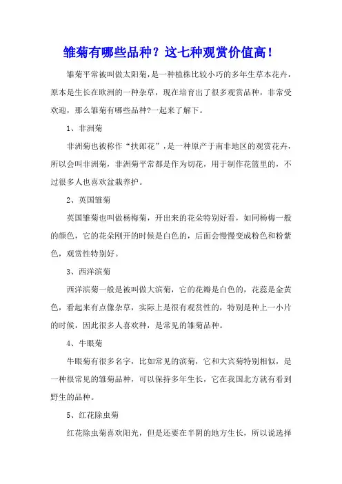 雏菊有哪些品种？这七种观赏价值高!