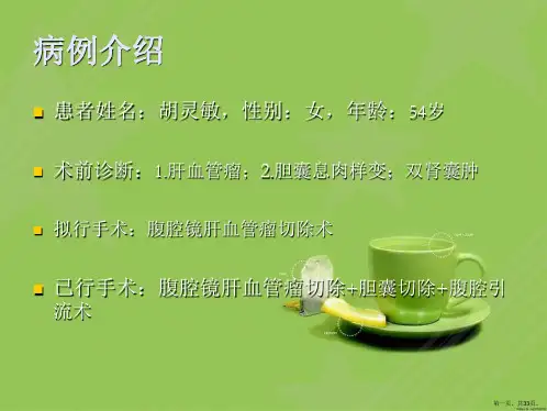 腹腔镜下肝叶切除