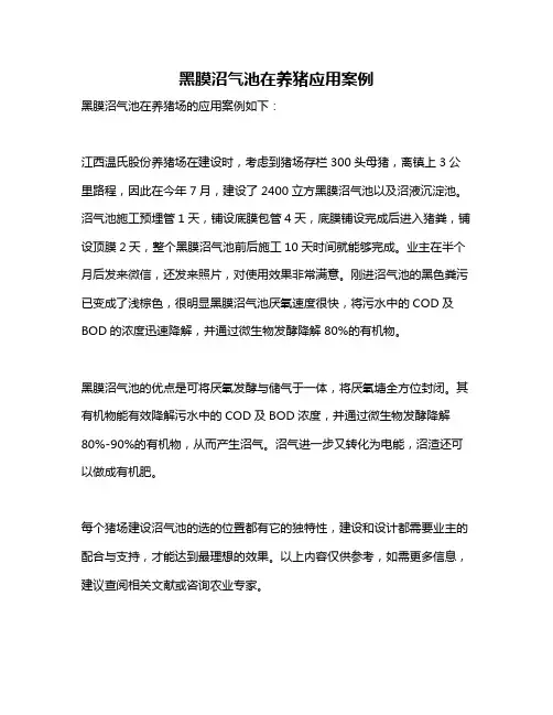 黑膜沼气池在养猪应用案例