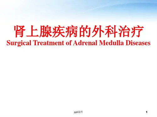 肾上腺疾病的外科治疗  ppt课件