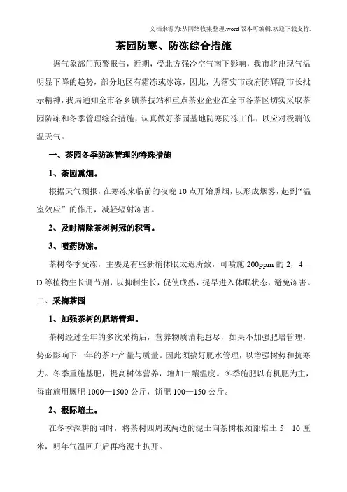 茶园防冻和冬季管理综合措施
