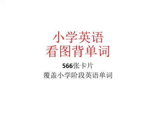【精品】小学英语单词PPT(看图卡片566张),覆盖小学阶段英语单词(带图片、解释、音标)