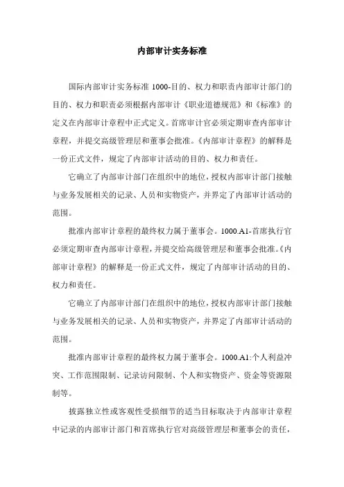 内部审计实务标准.doc