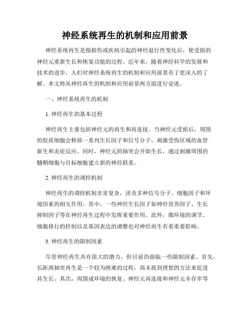 神经系统再生的机制和应用前景