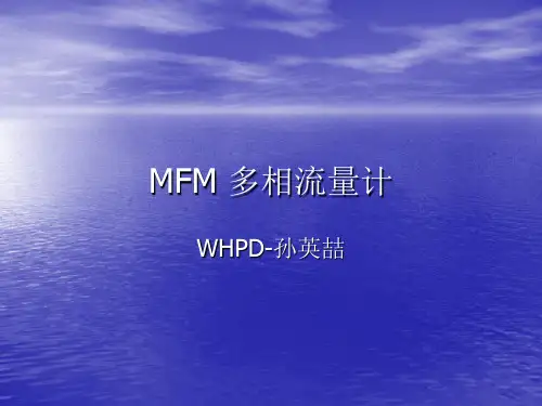 MFM 多相流量计