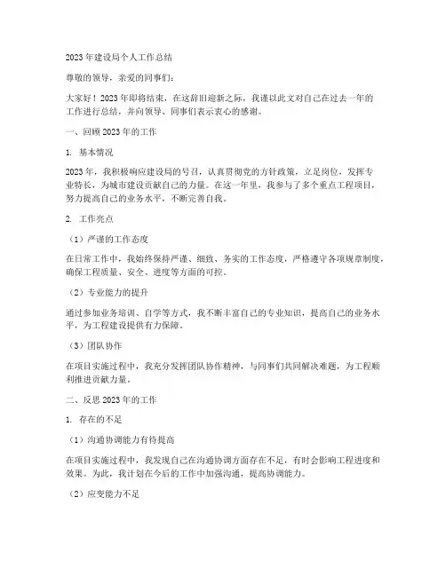 2023年建设局个人工作总结