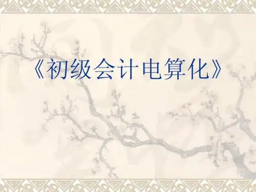 会计从业资格证考试电算化第一章重点