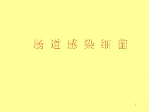 肠道感染细菌ppt课件