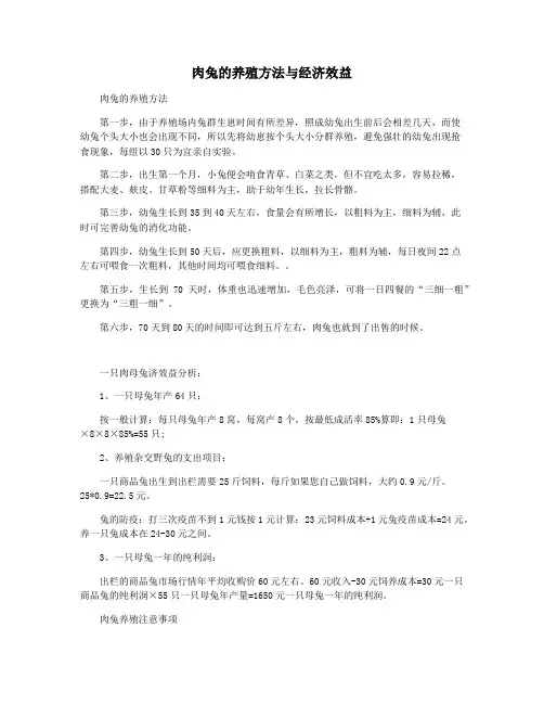 肉兔的养殖方法与经济效益