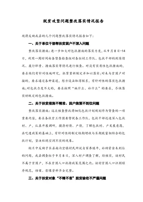 脱贫攻坚问题整改落实情况报告