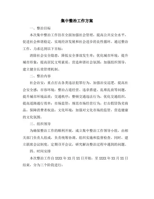 集中整治工作方案