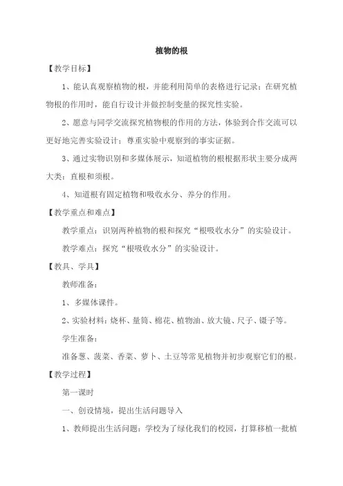 四年级科学上册教案   第三单元《9. 植物的根》   青岛版