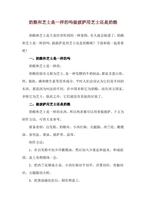 奶酪和芝士是一样的吗 做披萨用芝士还是奶酪