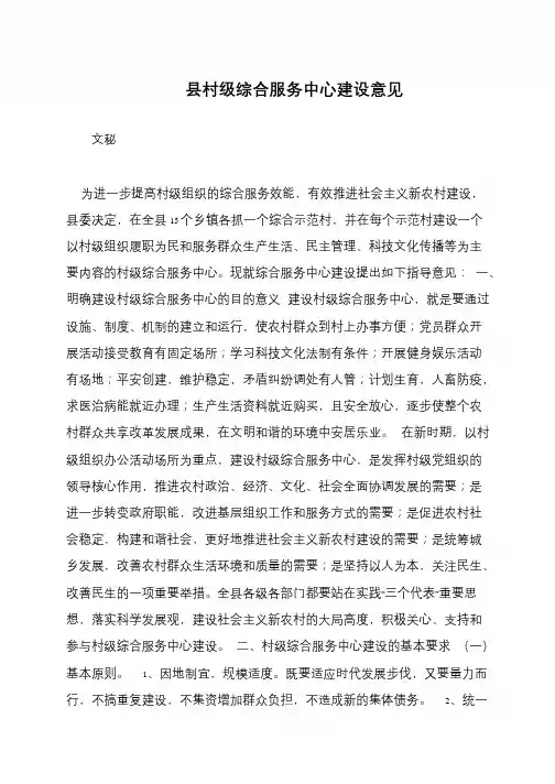 县村级综合服务中心建设意见