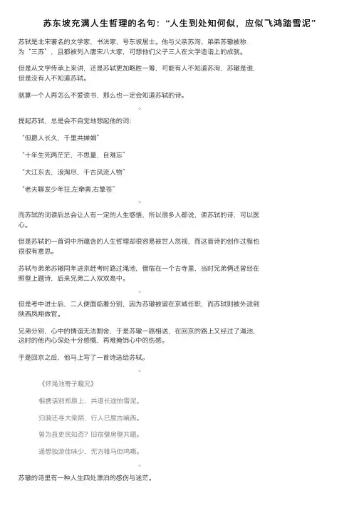 苏东坡充满人生哲理的名句：“人生到处知何似，应似飞鸿踏雪泥”