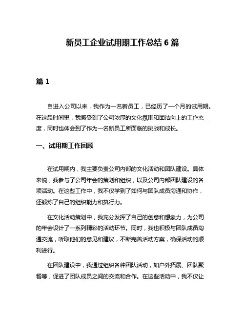 新员工企业试用期工作总结6篇