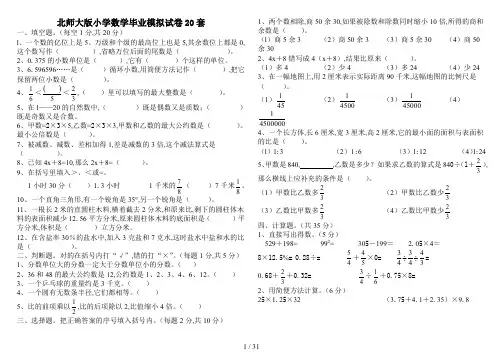 北师大版小学数学毕业模拟试卷20套