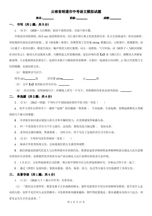 云南省昭通市中考语文模拟试题