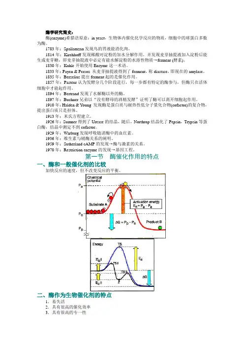 第八章 酶通论