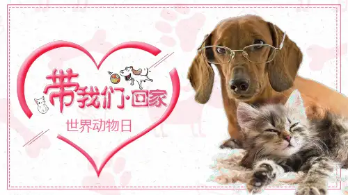 可爱萌宠狗狗ppt